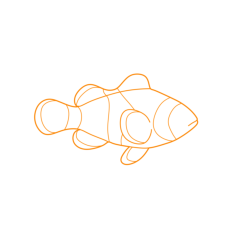 Animal Families Orders Saltwater Fish Simple Line Art Svg Vector, Free Vectors File